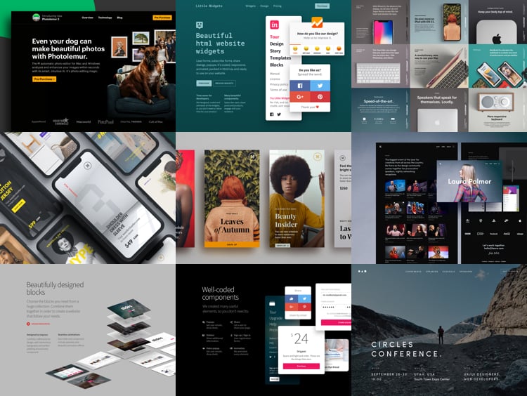 product designer